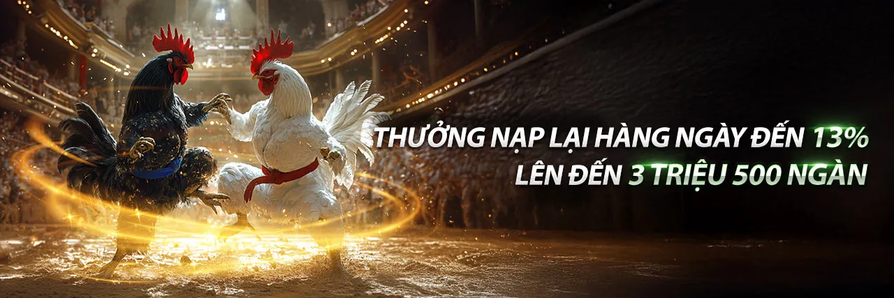 Đội ngũ hỗ trợ khách hàng nohu09 chuyên nghiệp