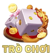 Hướng dẫn quản lý cookie qua cài đặt trình duyệt và công cụ từ chối
